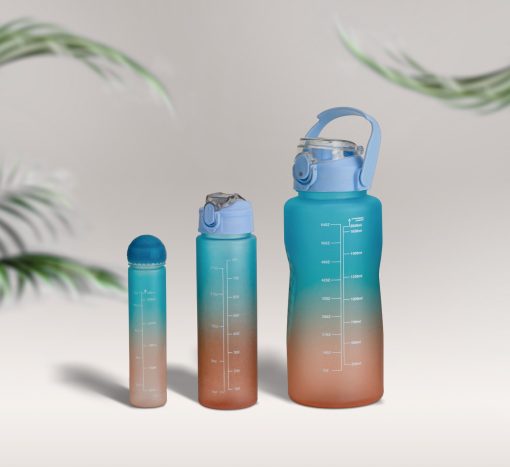 Bottle 500 Ml Pp Cap