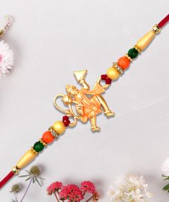 Hanumaan ji Holding  Dronagiri Mountain rakhi