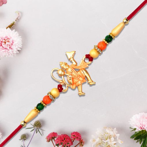 Hanumaan ji Holding  Dronagiri Mountain rakhi
