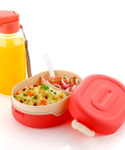 Lunch Box With Bottle (TESTY Combo) (Box Packing)