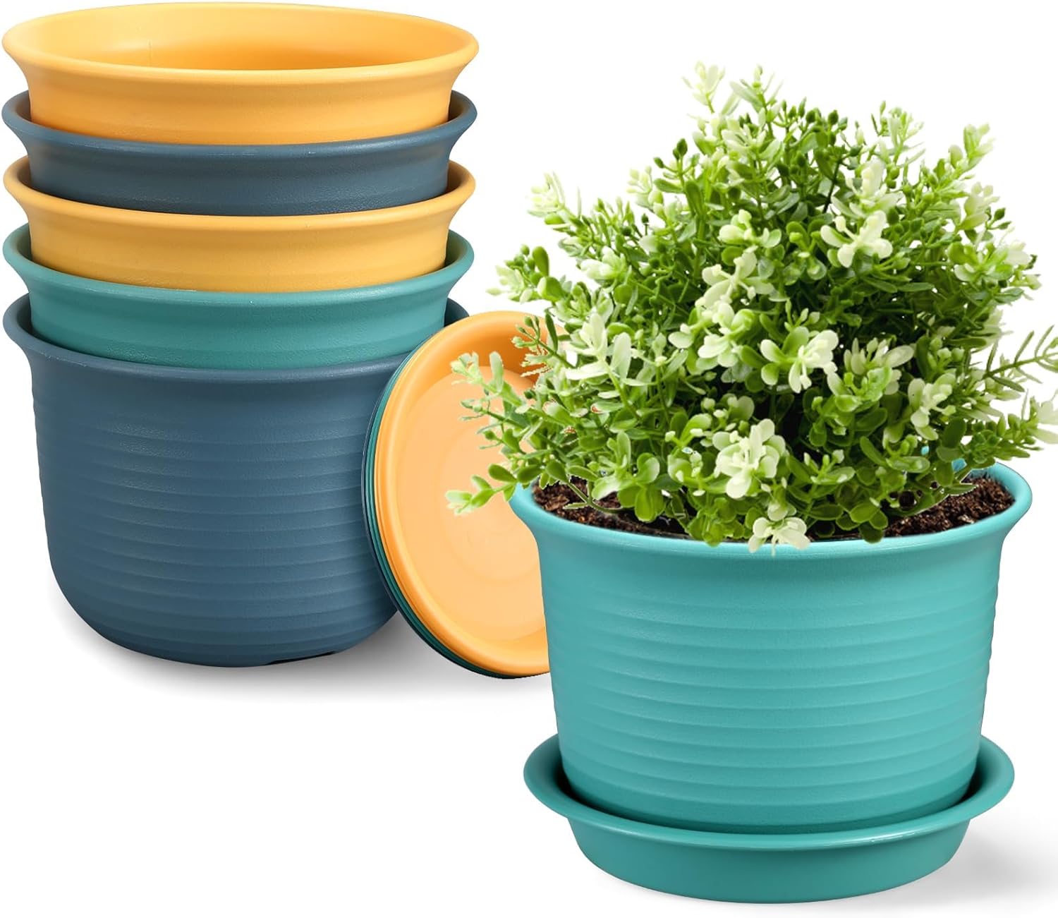 Flower Pot(5pcs Set Boxpack)